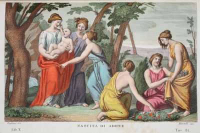 The birth of Adonis, Book X, illustration from Ovid